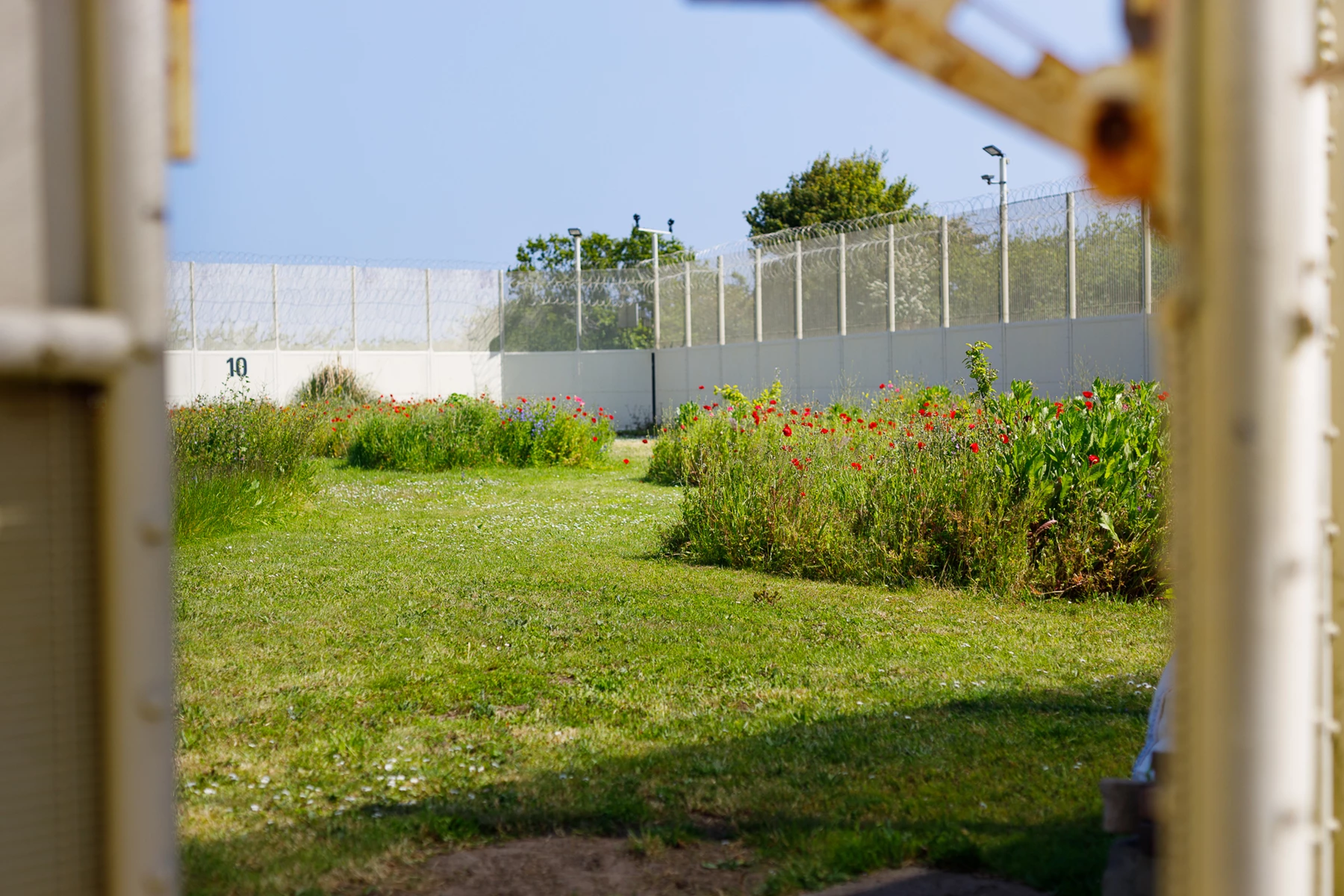 Colour photo of a fenced in yard with a white wall and a white fence
