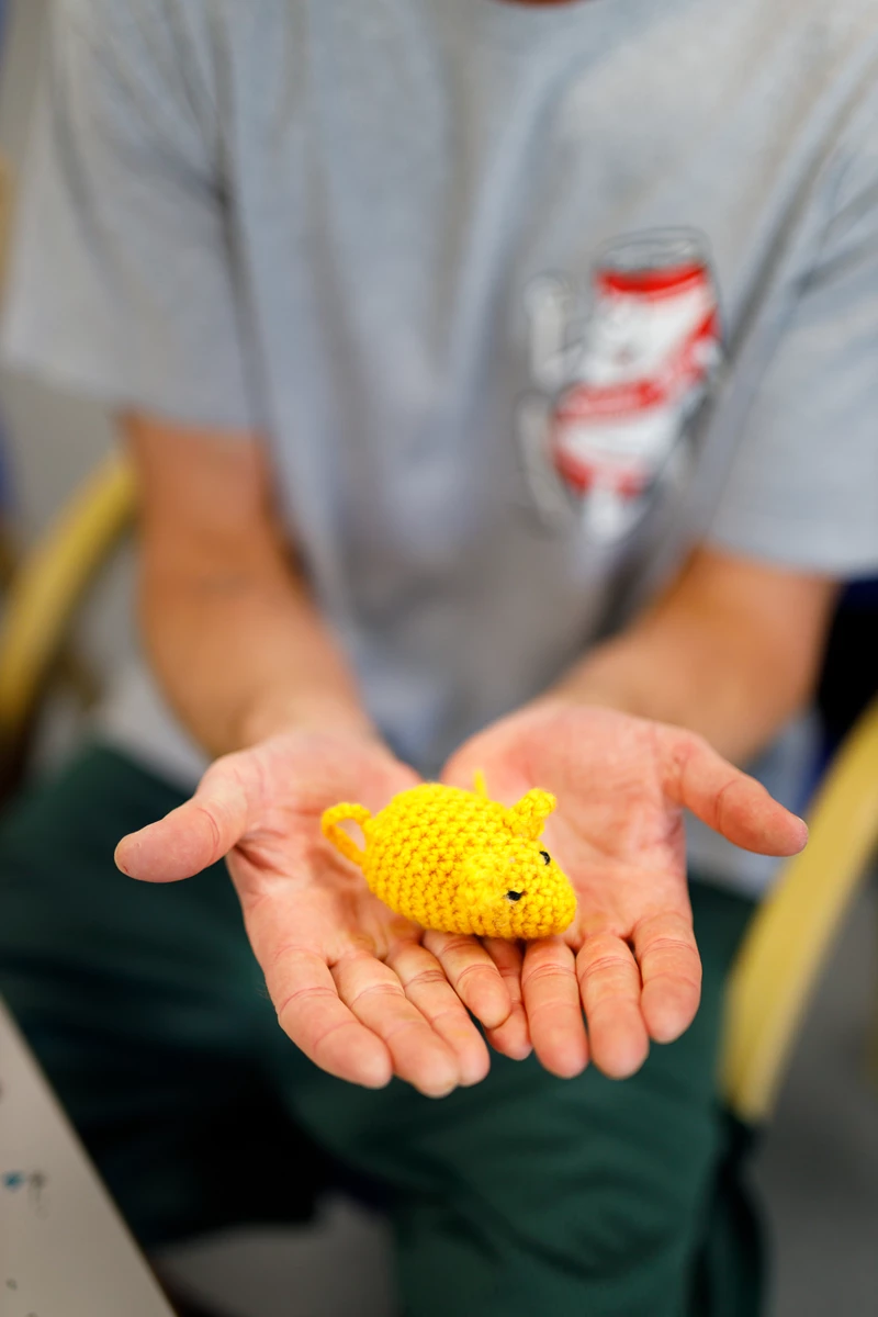 Colour photo of a person holding a yellow object