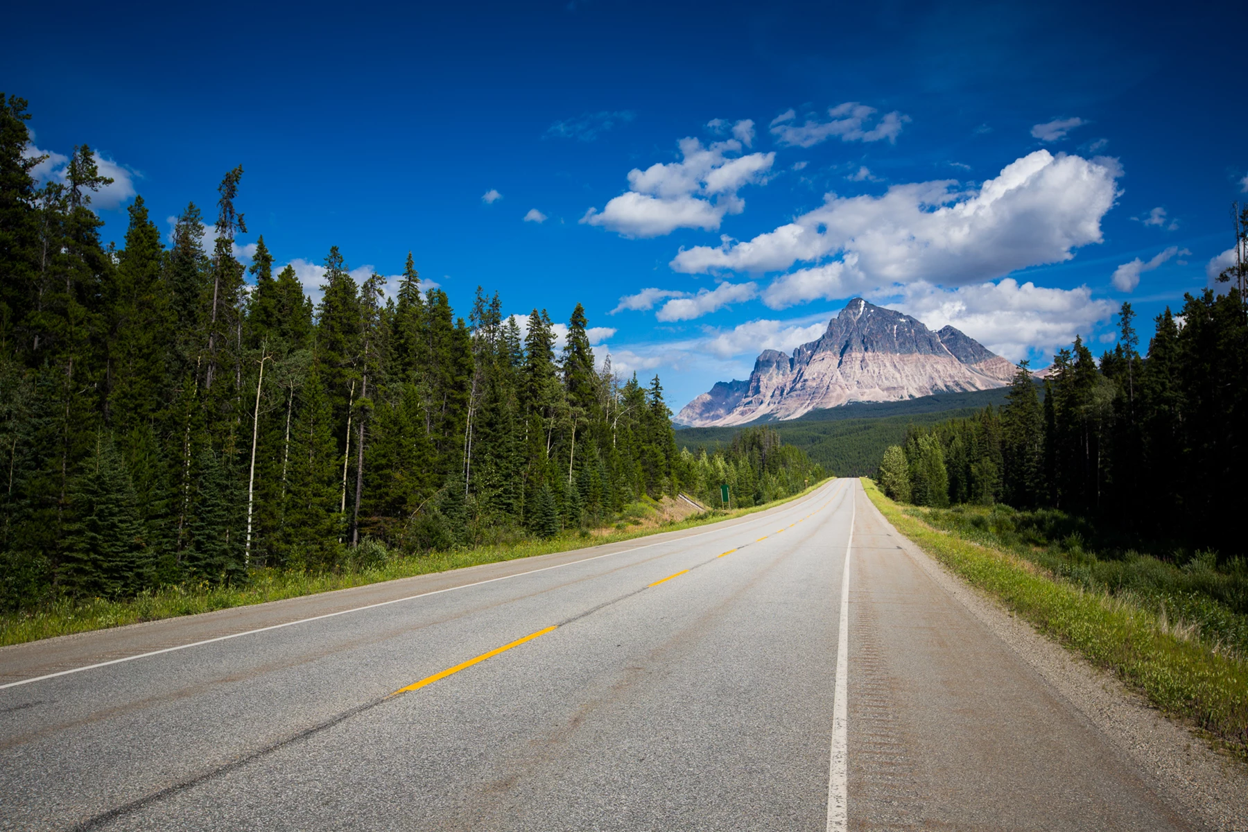 Colour photo of a road with trees and mountains in the background