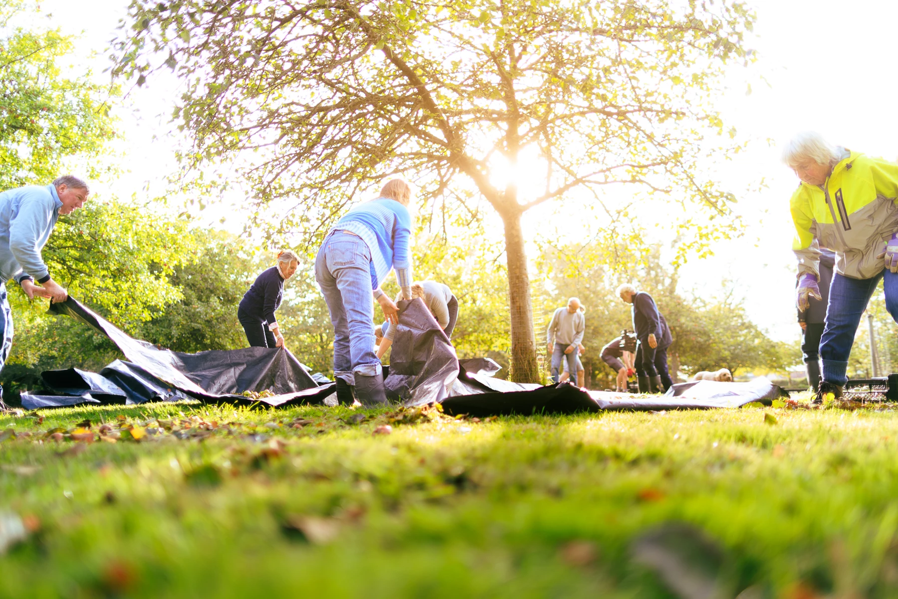 Colour photo of a group of people in a field