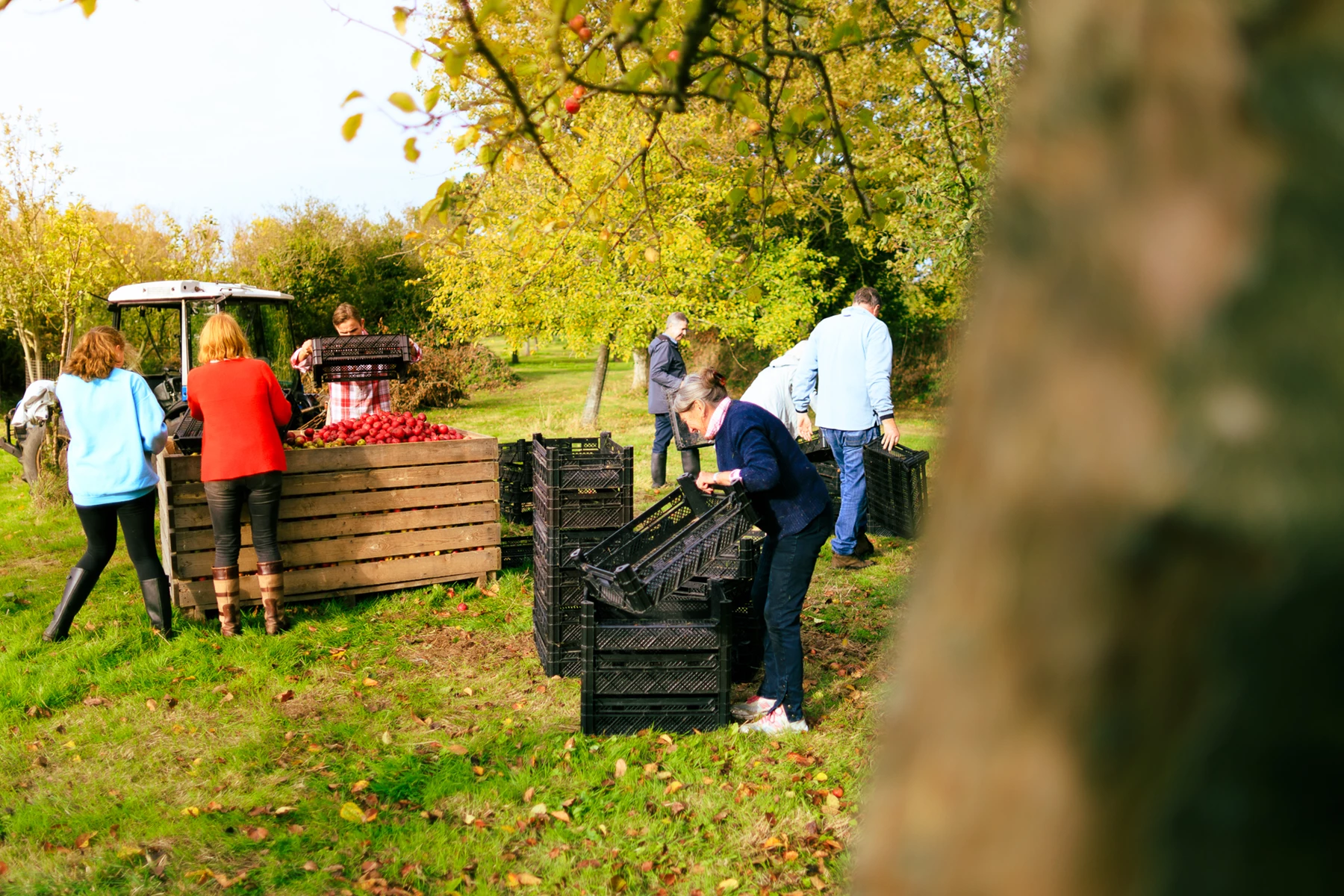 Colour photo of people at a farmers market