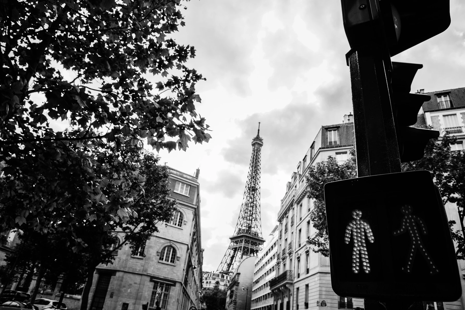 Black & white photo of a crosswalk sign in front of a large building