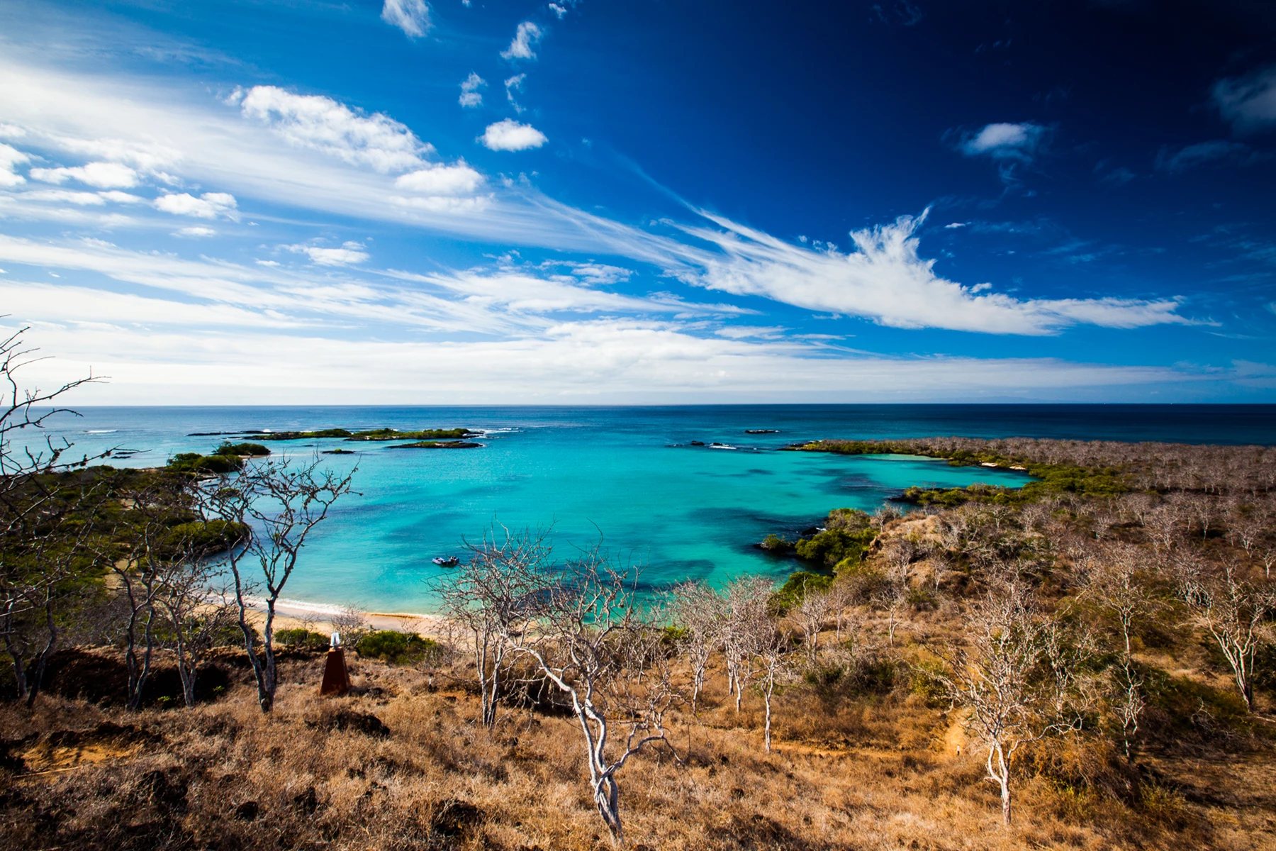Colour photo of a landscape with trees and water in the background