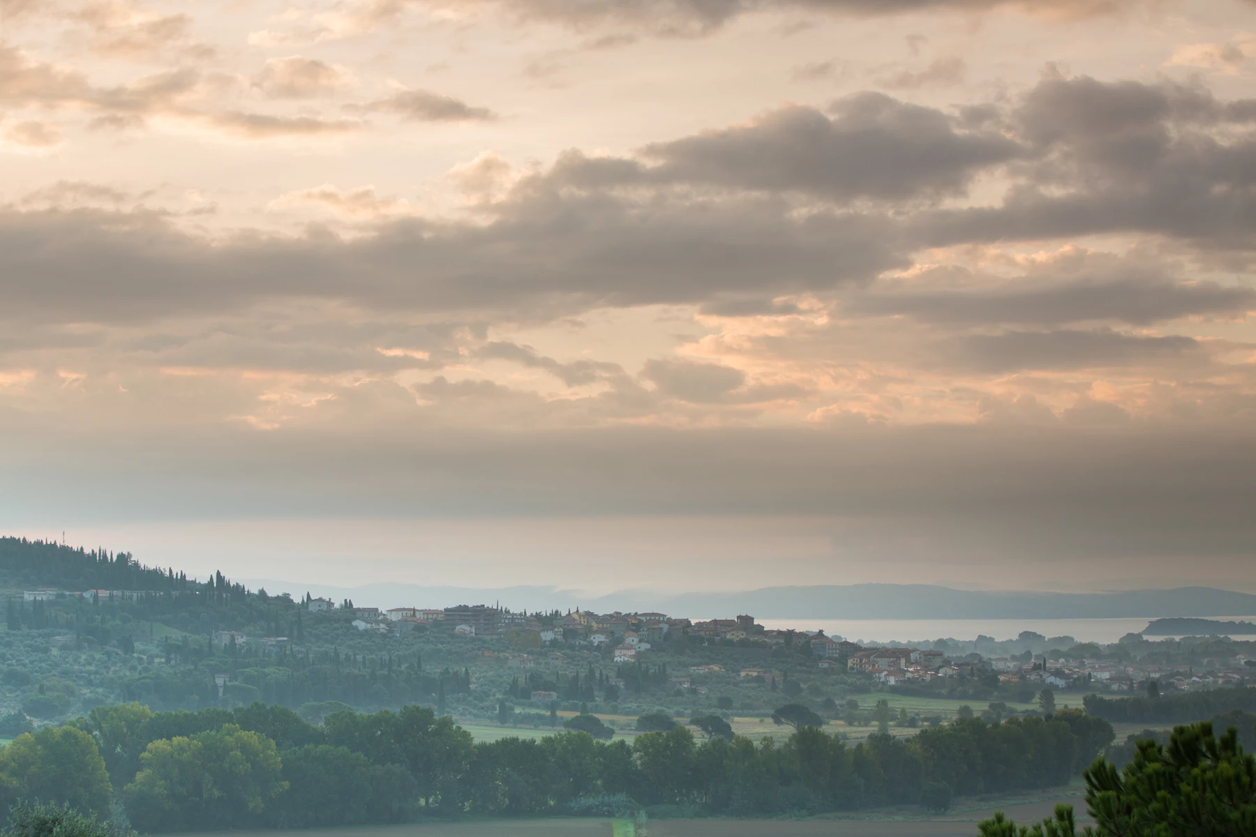 Colour photo of a landscape with trees and water