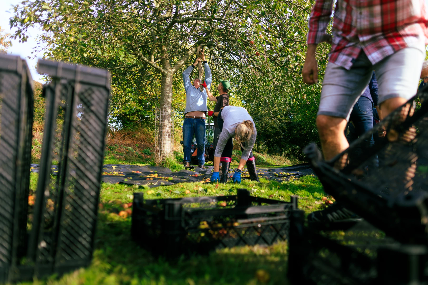 Colour photo of a group of people outside