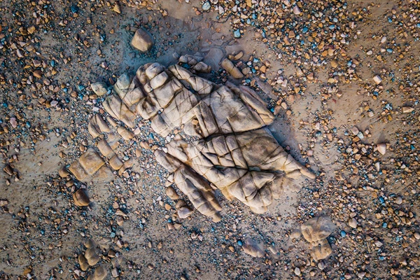 Colour photo of a crab on the sand