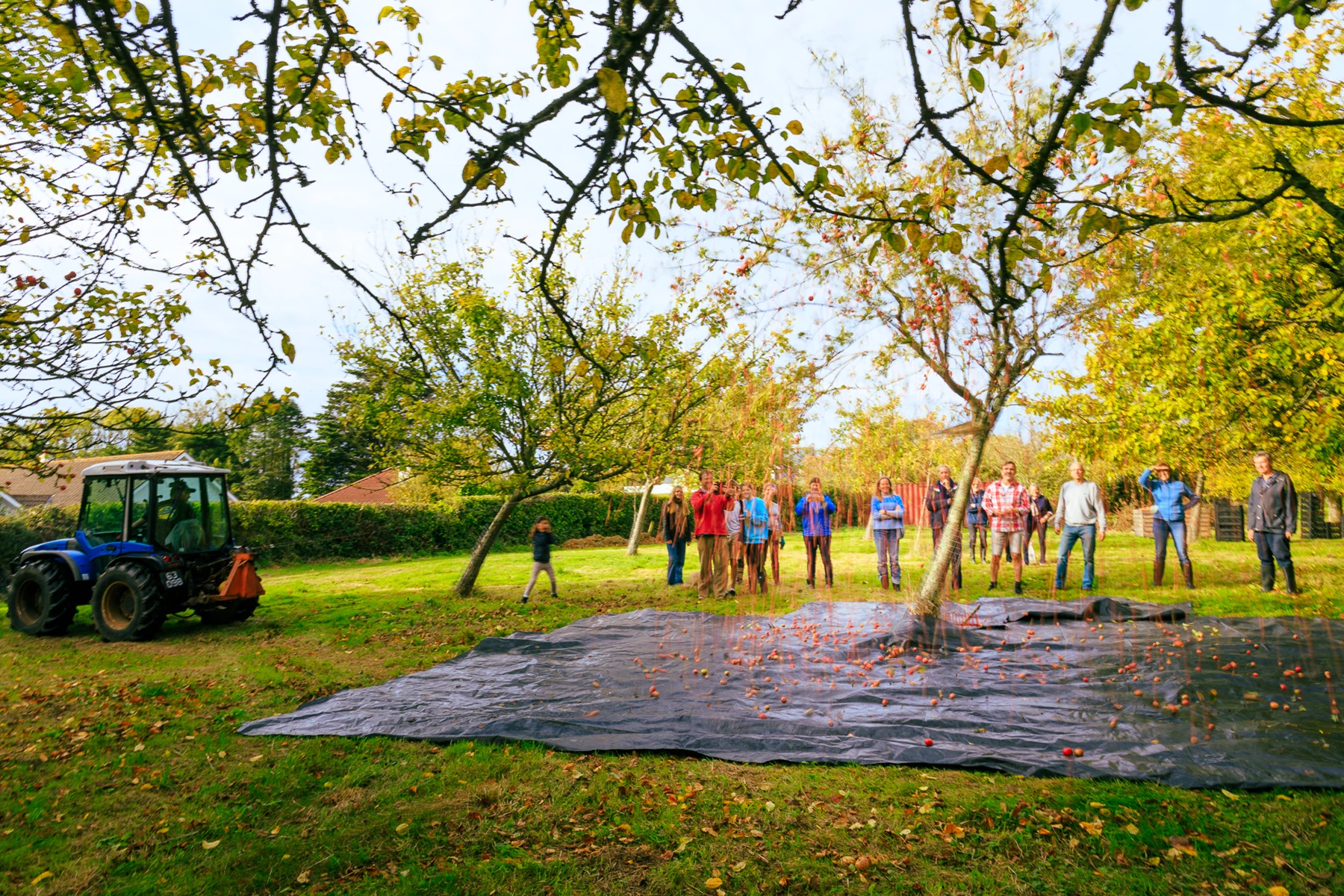 Colour photo of a group of people standing around a pond