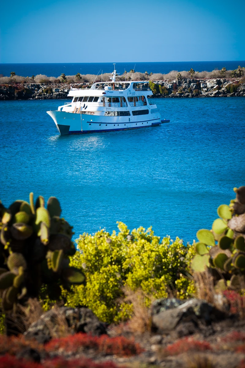 Colour photo of a boat on the water