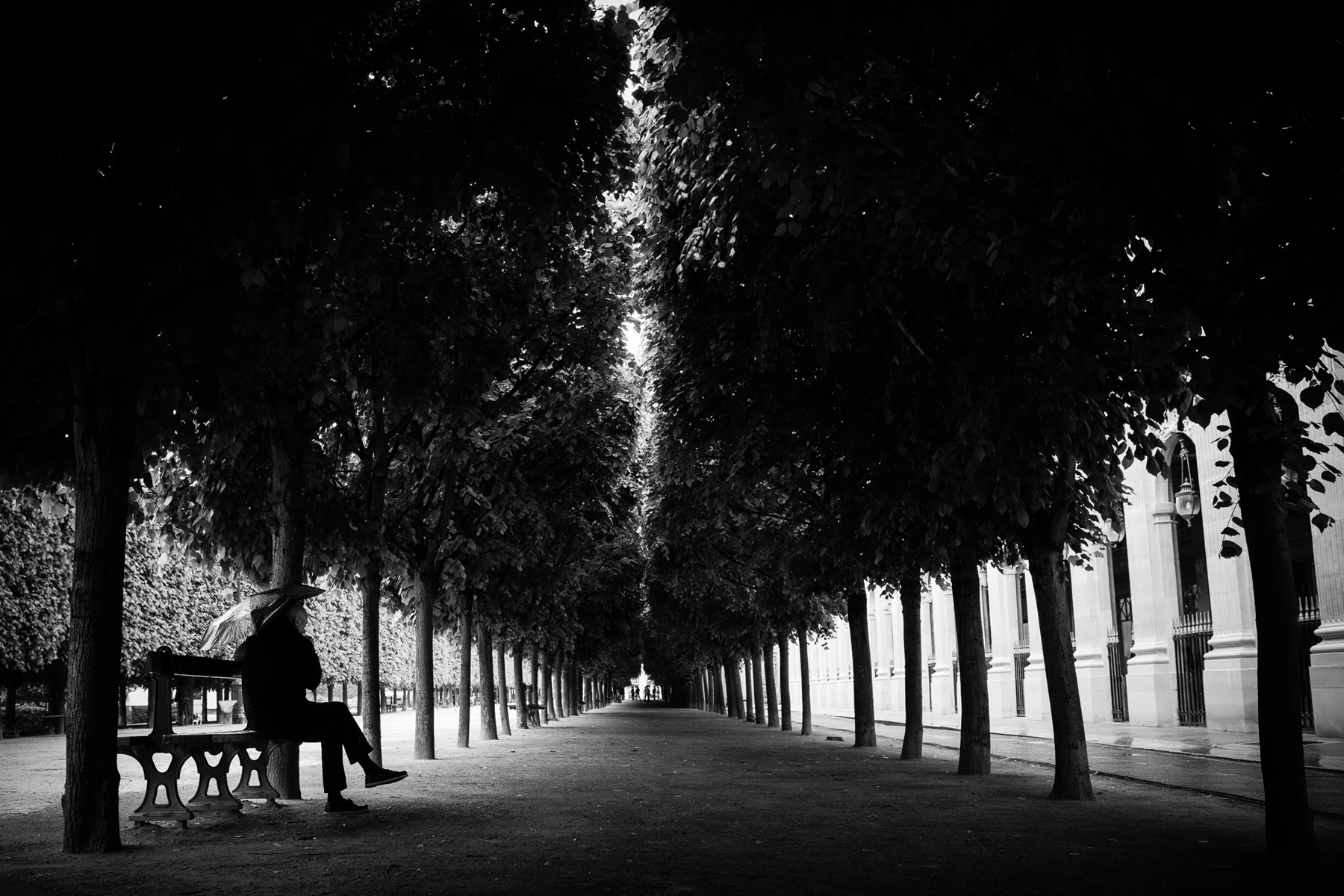 Black & white photo of a person sitting on a bench under a tree