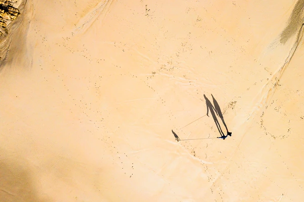 Aerial top down drone photo of people walking on the beach