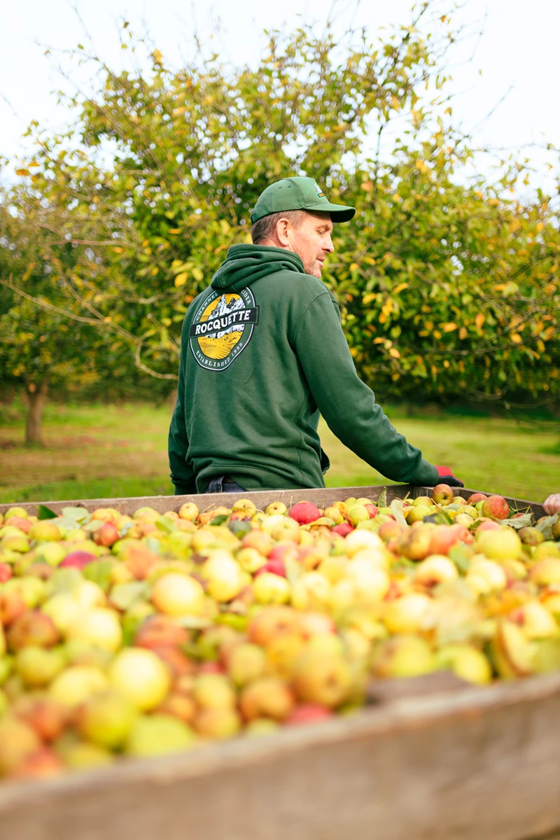 Colour photo of a person standing next to a pile of apples