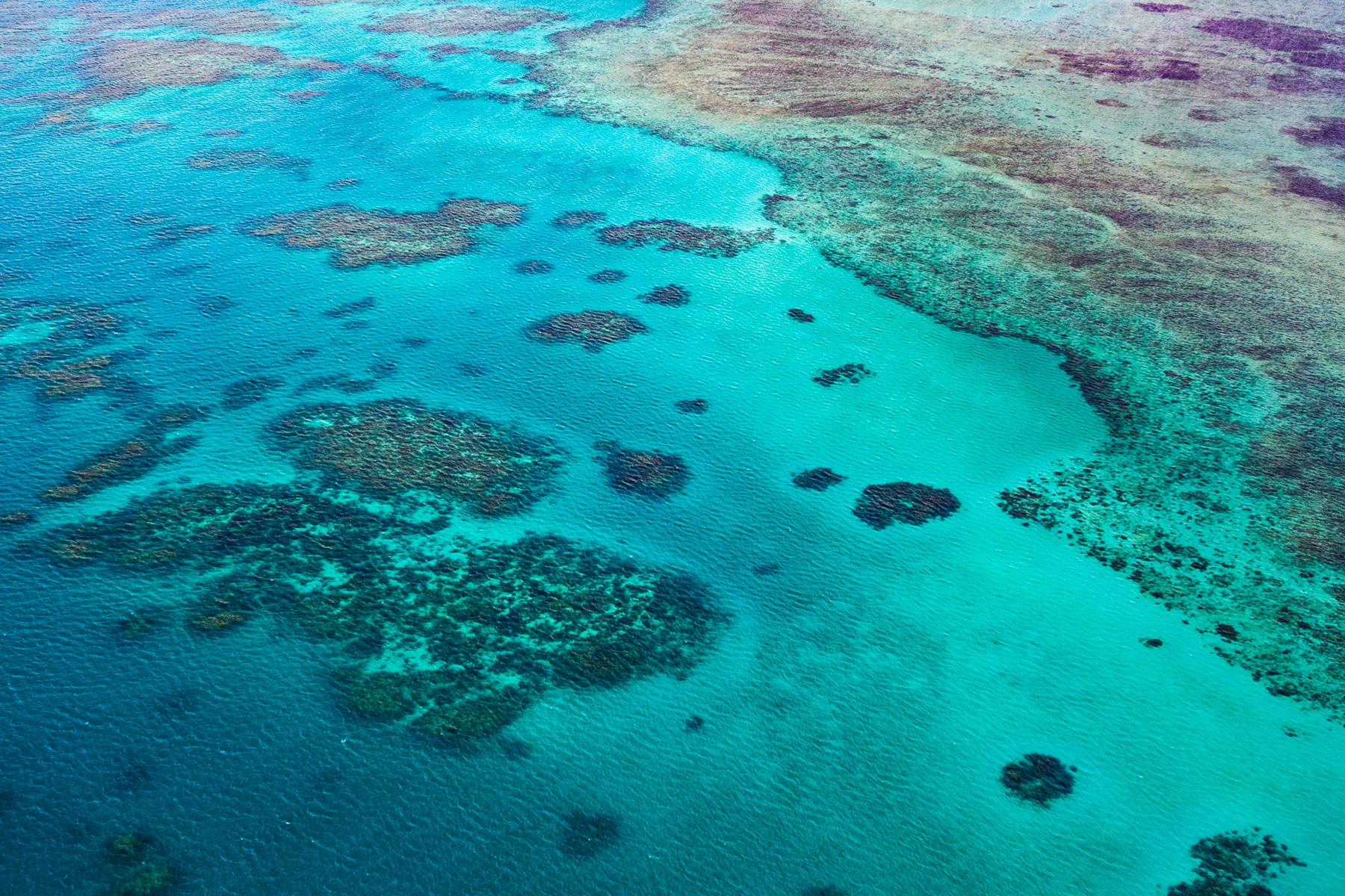 Colour photo of a beach with many footprints