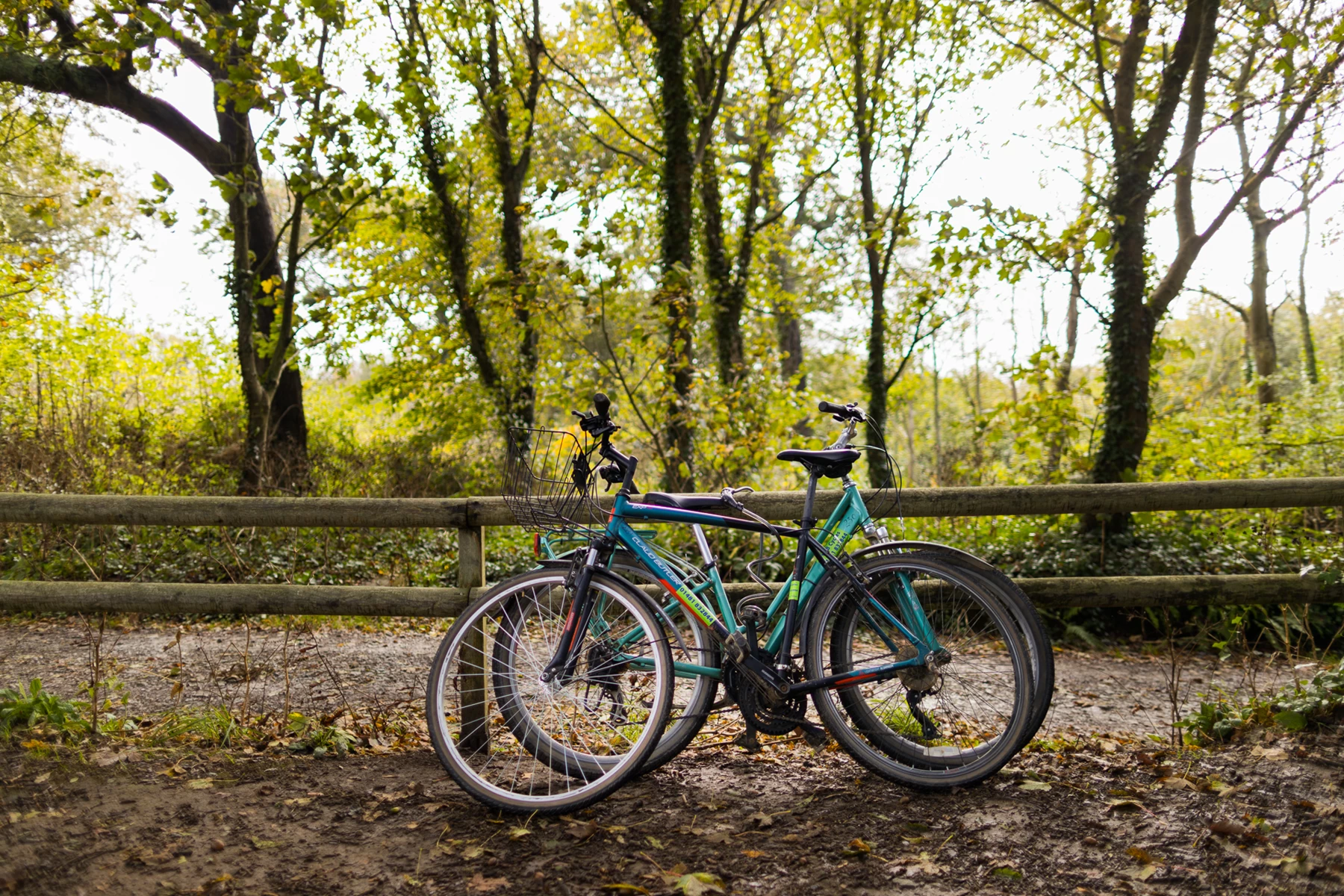 Colour photo of a bicycle parked on a bench