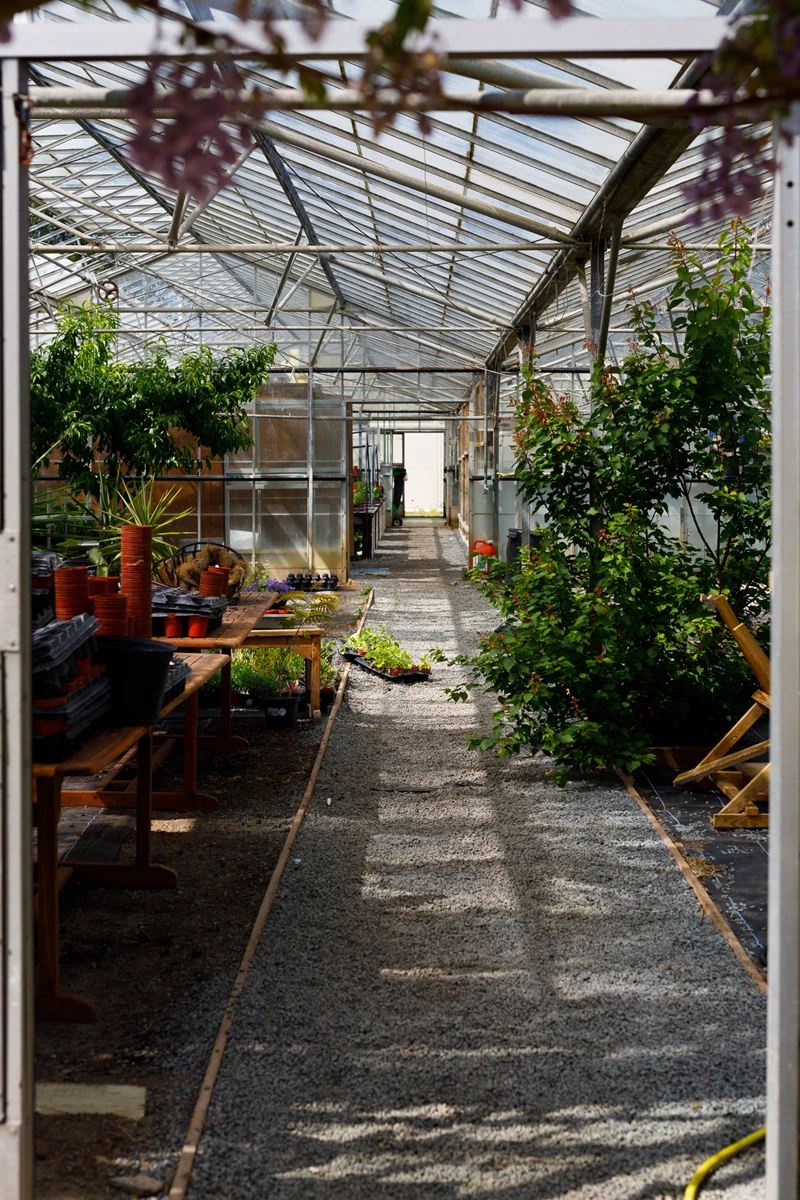 Colour photo of a patio with tables and chairs