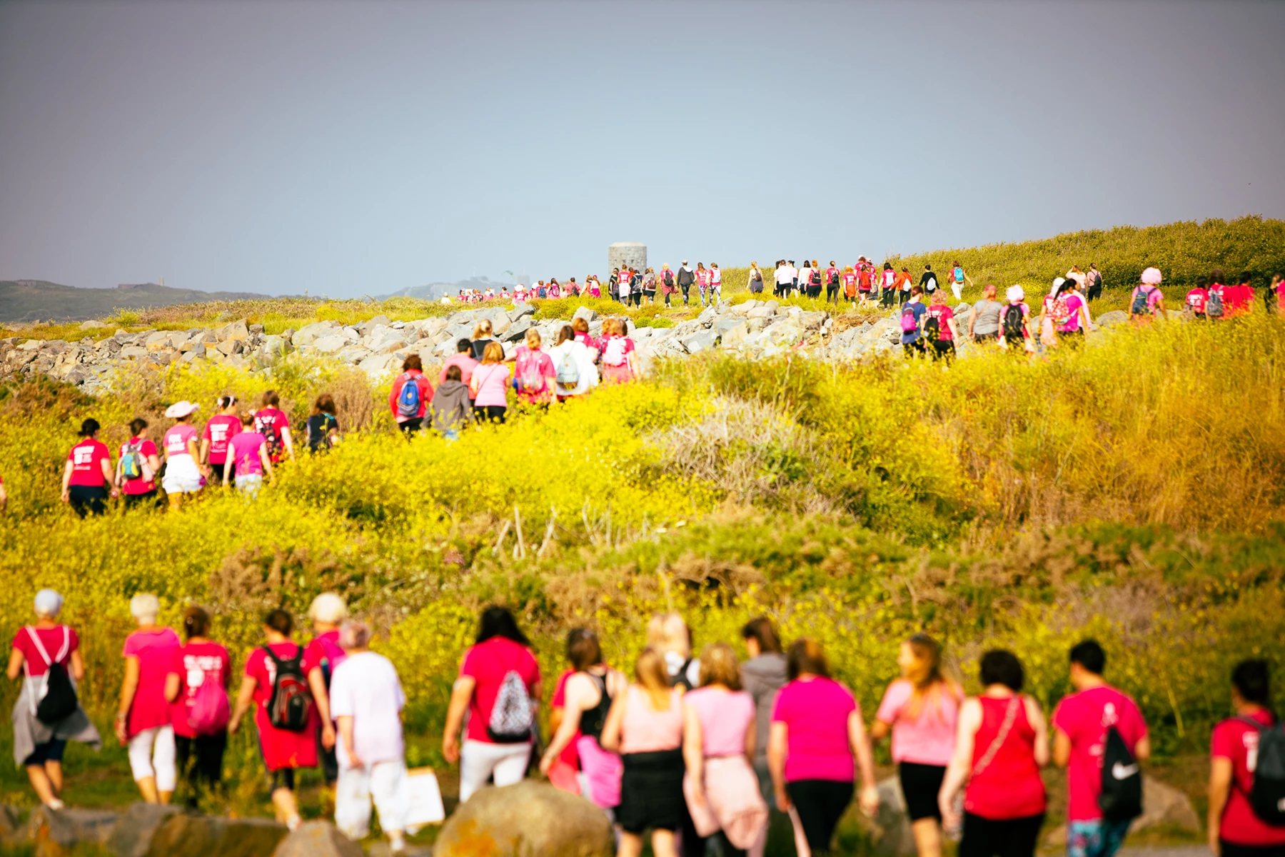 Colour photo of a group of people standing on a hill