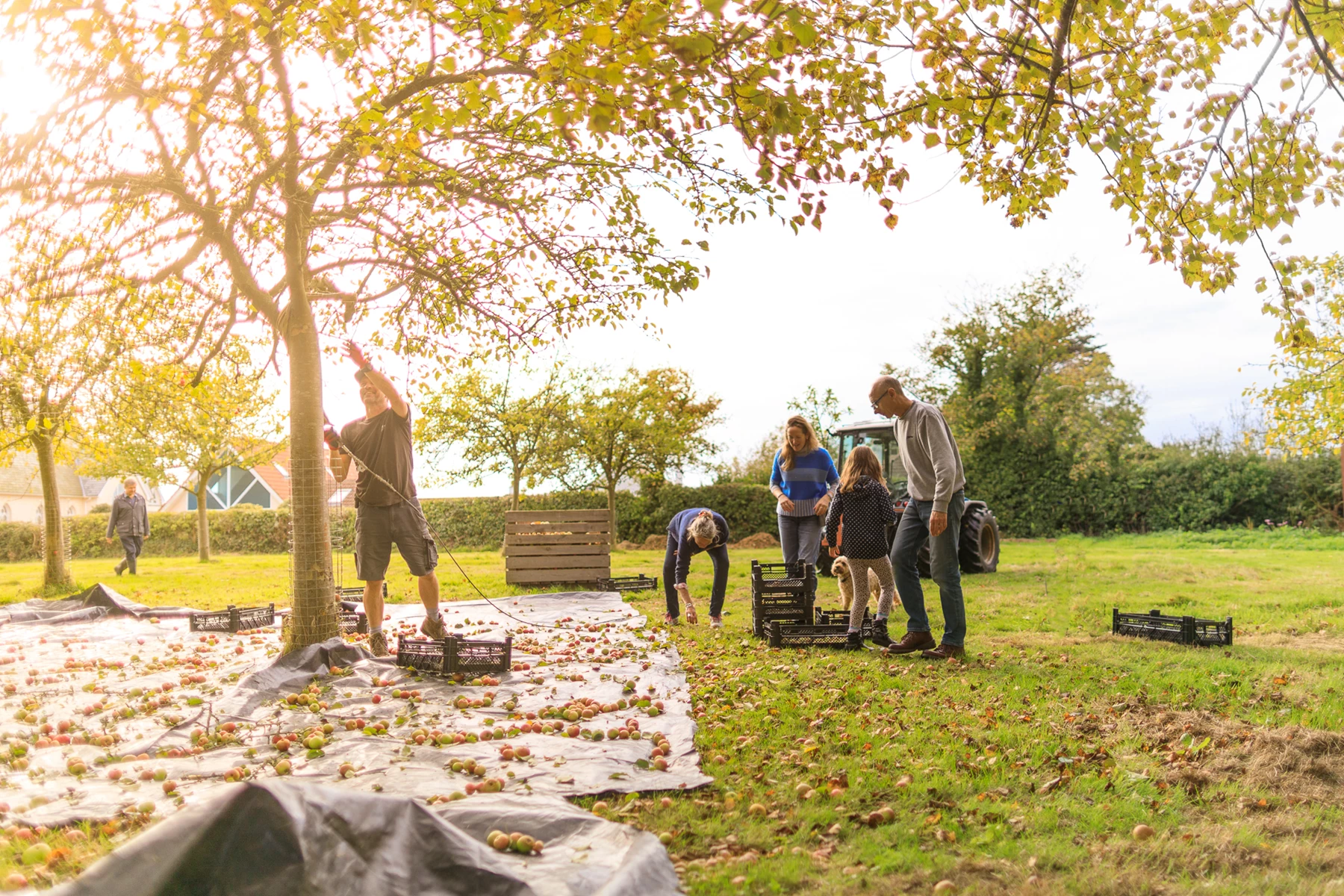 Colour photo of a group of people playing in a park