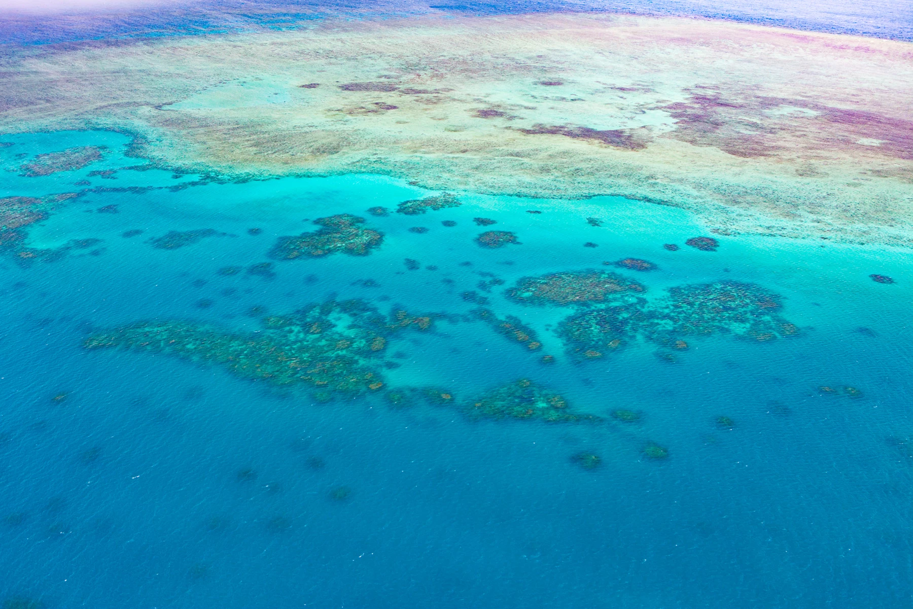 Colour photo of a clear blue water
