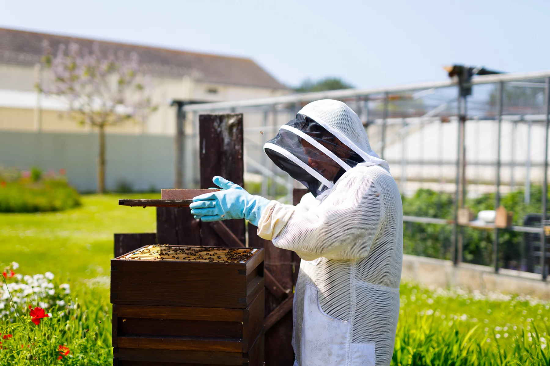 Colour photo of a person wearing a mask and gloves