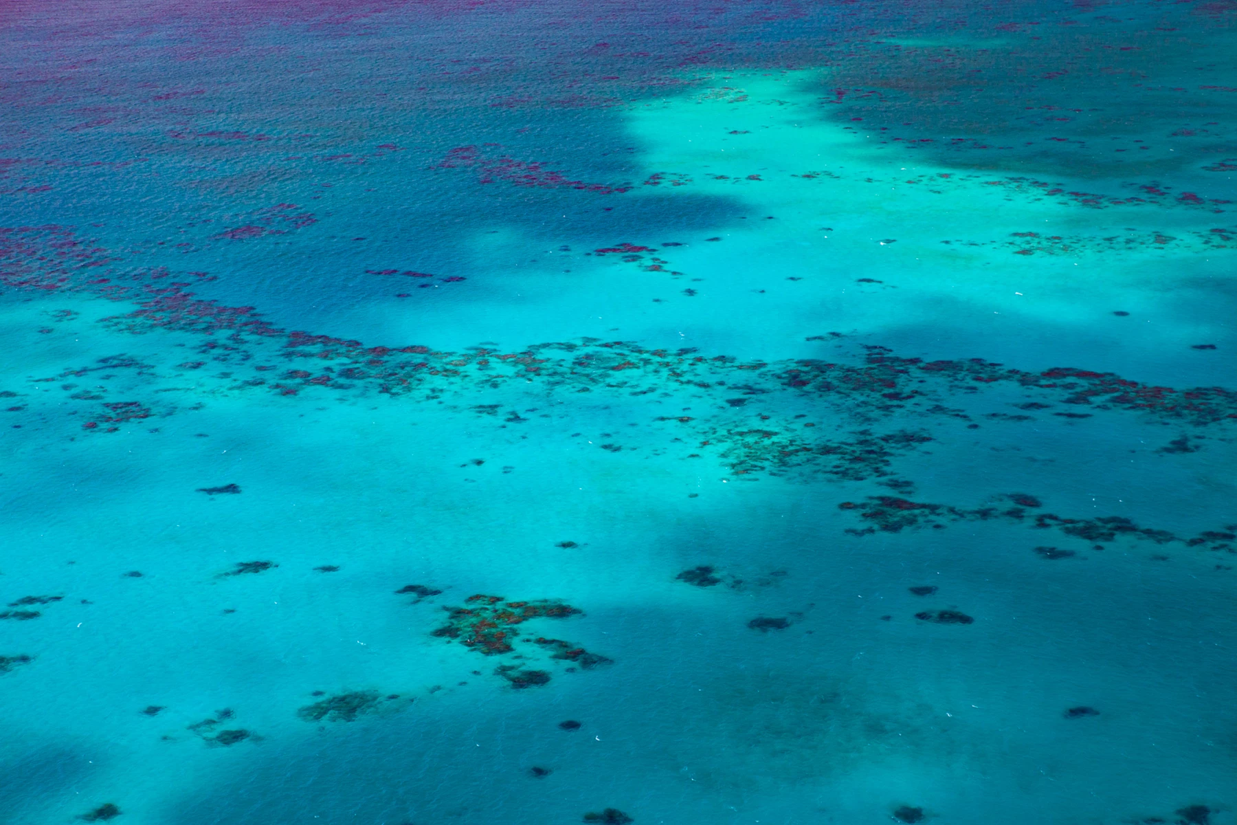 Colour photo of a close-up of a wet surface