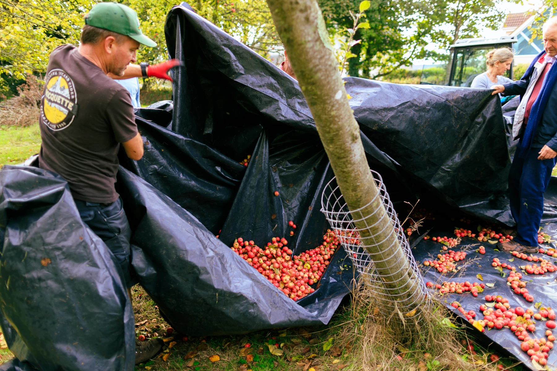Colour photo of a man standing next to a tent