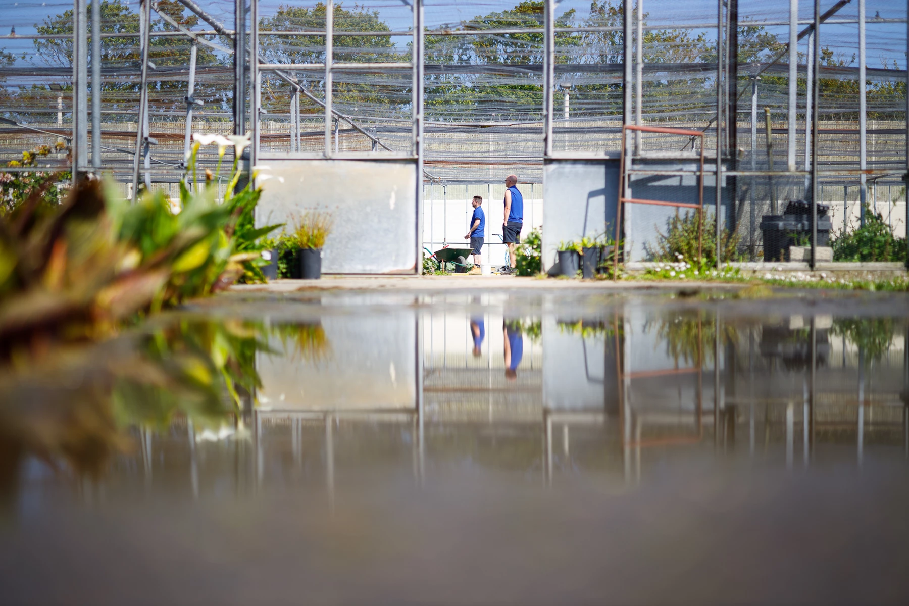 Colour photo of a couple of people standing in a flooded area
