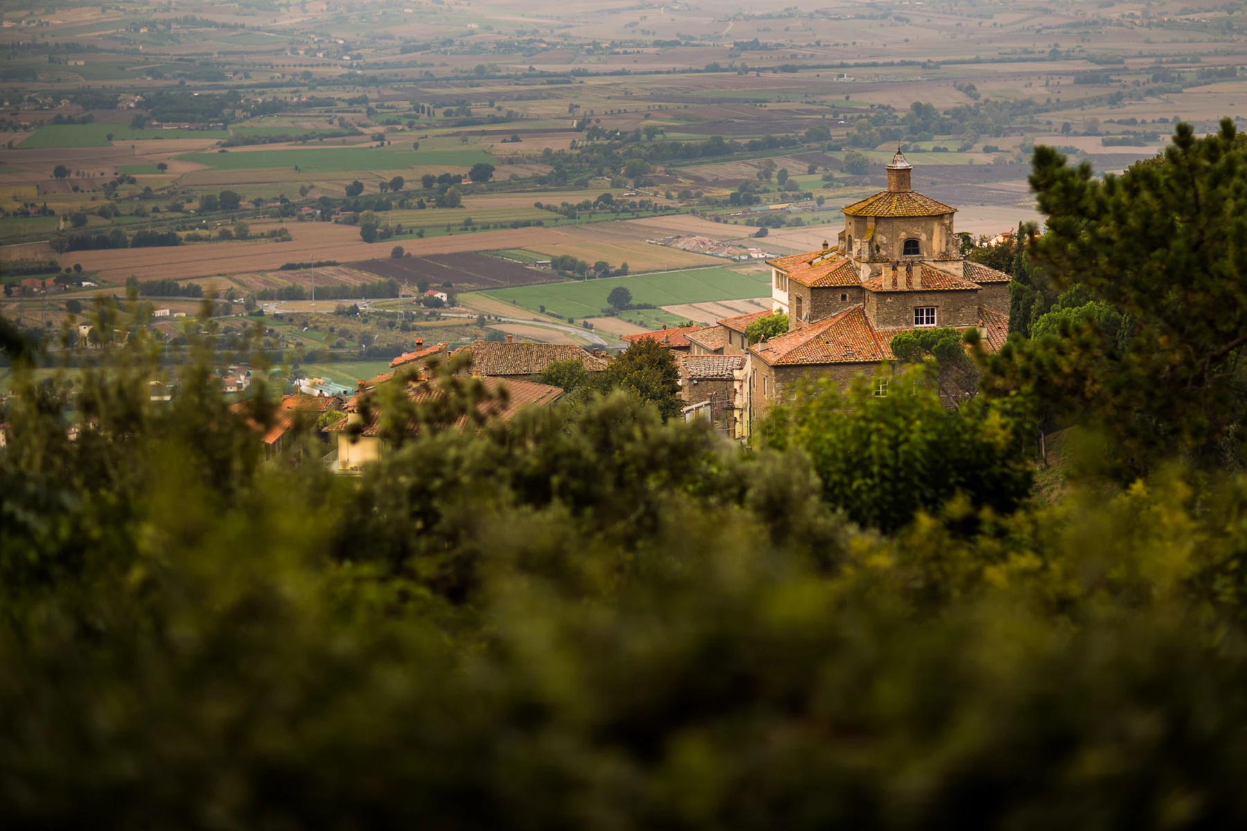 Colour photo of a building surrounded by trees