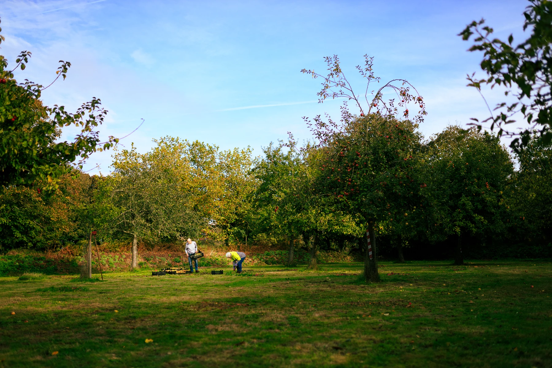 Colour photo of a group of people playing in a park